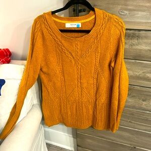 Brunt Orange Anthropologie sweater.